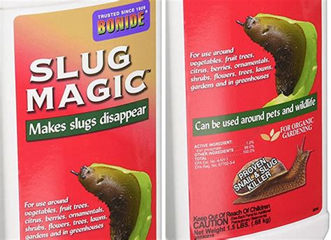 Black Magic Slugs: Agents of Chaos or Harmonious Creatures?